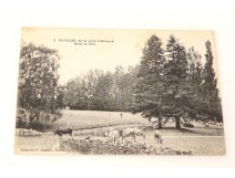 CPA Carte Postale Ancienne Cartophile Parc Paysage Nantes