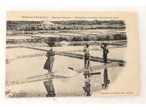 CPA Carte Postale Ancienne Cartophile Guérande Marais salants
