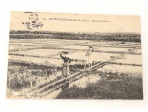 CPA Carte Postale Ancienne Cartophile Marais Salants Bourg de Batz
