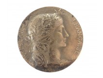 Médaille argent Institut Sténographique de France Paris H.Dubois XIXème