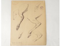 Dessin esquisses patte de biche école arts décoratifs XXème siècle